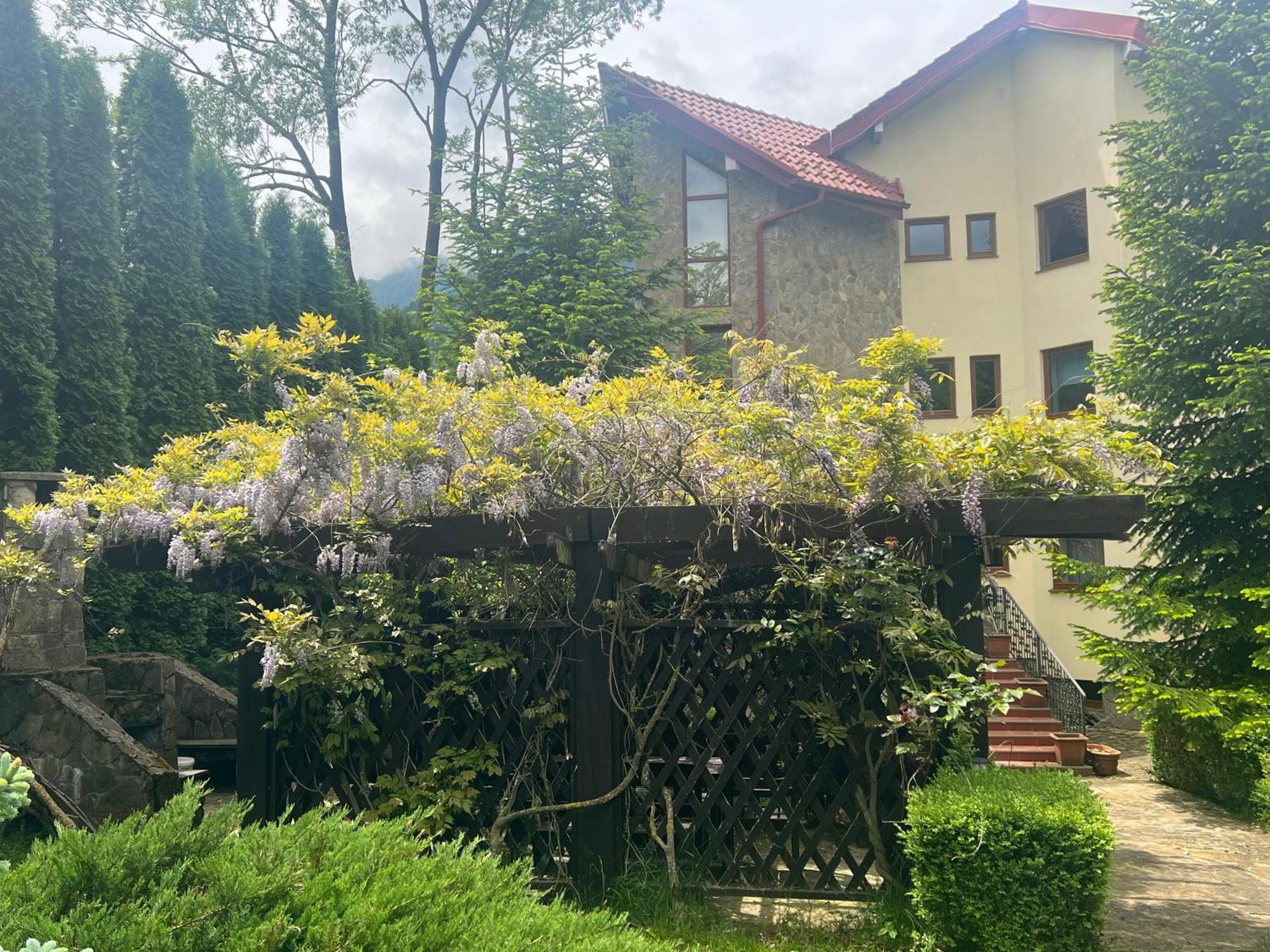 Wine Cellar Villa With Beautiful Garden In Sinaia - Busteni Poiana Tapului Екстер'єр фото