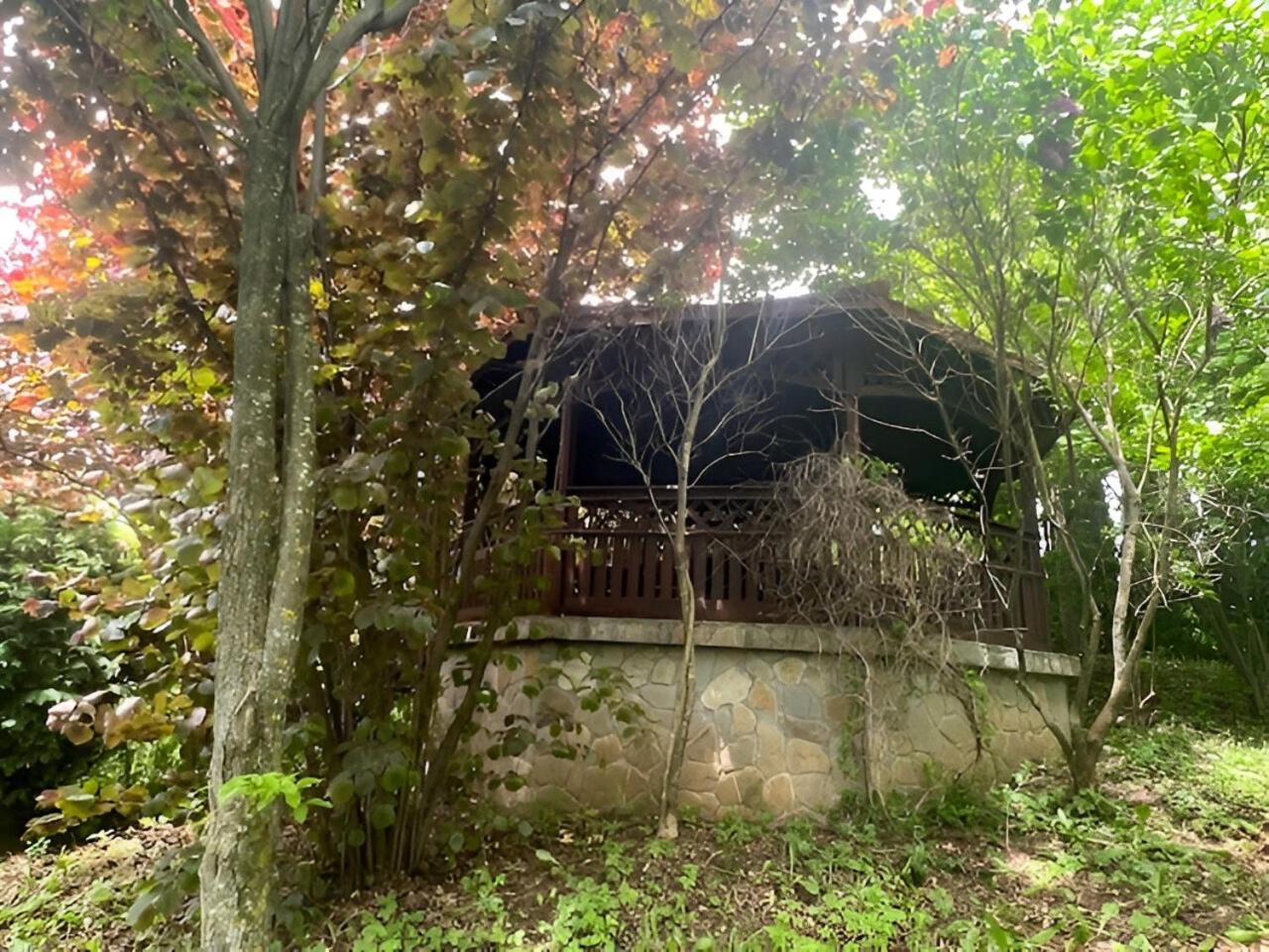 Wine Cellar Villa With Beautiful Garden In Sinaia - Busteni Poiana Tapului Екстер'єр фото