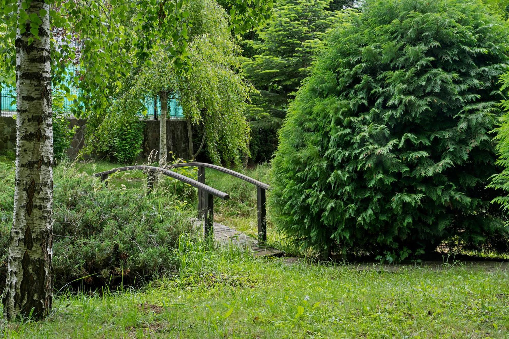 Wine Cellar Villa With Beautiful Garden In Sinaia - Busteni Poiana Tapului Екстер'єр фото