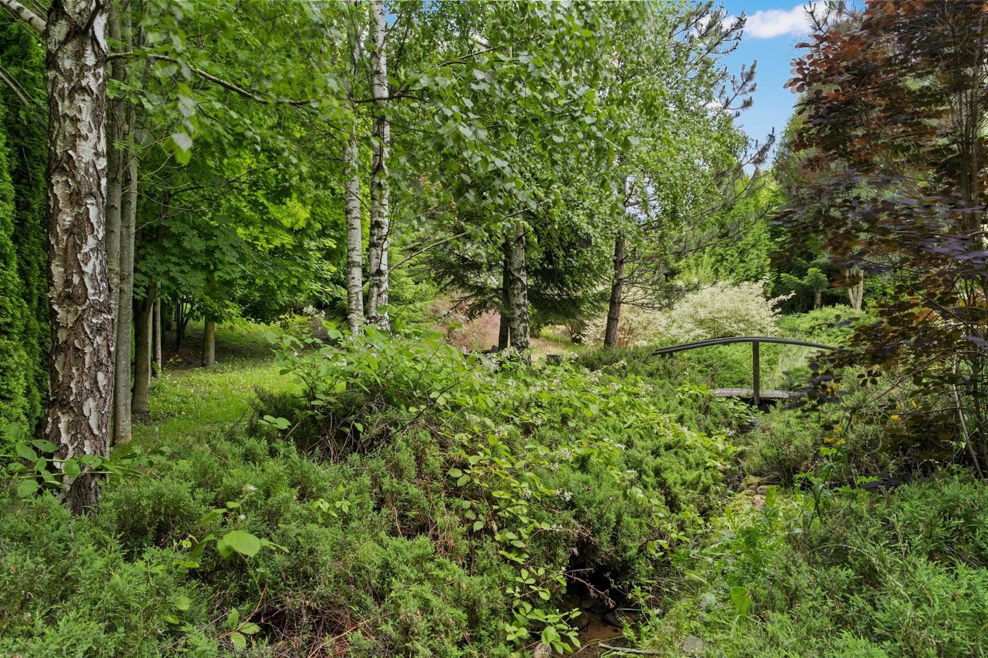 Wine Cellar Villa With Beautiful Garden In Sinaia - Busteni Poiana Tapului Екстер'єр фото